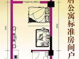 东方豪苑_1室1厅1卫 建面41平米