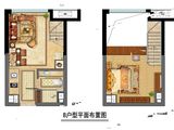 金地中心菁华_1室2厅1卫 建面32平米