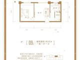 磊阳天府_1室1厅1卫 建面56平米