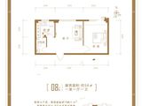 磊阳天府_1室1厅1卫 建面56平米