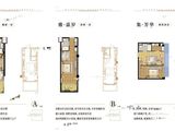 乐雅集_1室1厅1卫 建面55平米