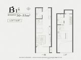 鲁商蓝岸丽舍_1室2厅2卫 建面30平米