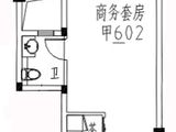 龙成国际_平层公寓甲02户型 建面50平米