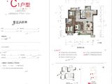 金科集美府_3室2厅2卫 建面117平米