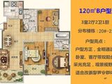 鑫江水青木华四期_3室2厅2卫 建面120平米