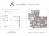 鲁能星城外滩长江序_3室2厅3卫 建面267平米