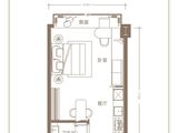 南京托尼洛兰博基尼艺术公寓_1室1厅1卫 建面46平米