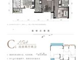 中绿康桥_4室2厅2卫 建面142平米