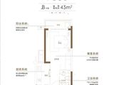 新华城国际公寓_1室1厅1卫 建面43平米